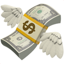 money-with-wings