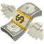 money-with-wings